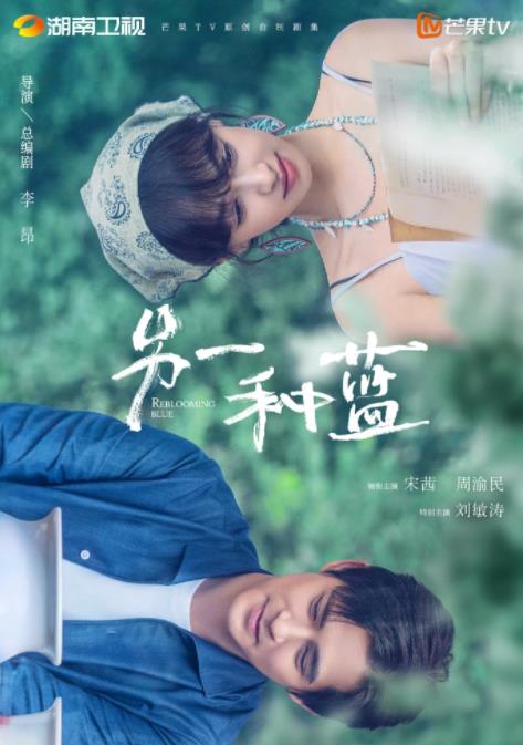 另一种蓝 王大陆